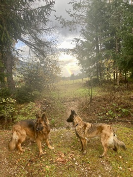 Boss und Ganja im Wald