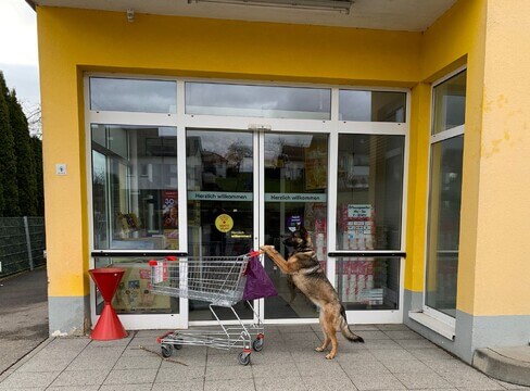 Lexy geht einkaufen