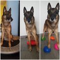 Olympischer Workout von Enzo