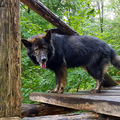 neulich auf dem Waldspielplatz