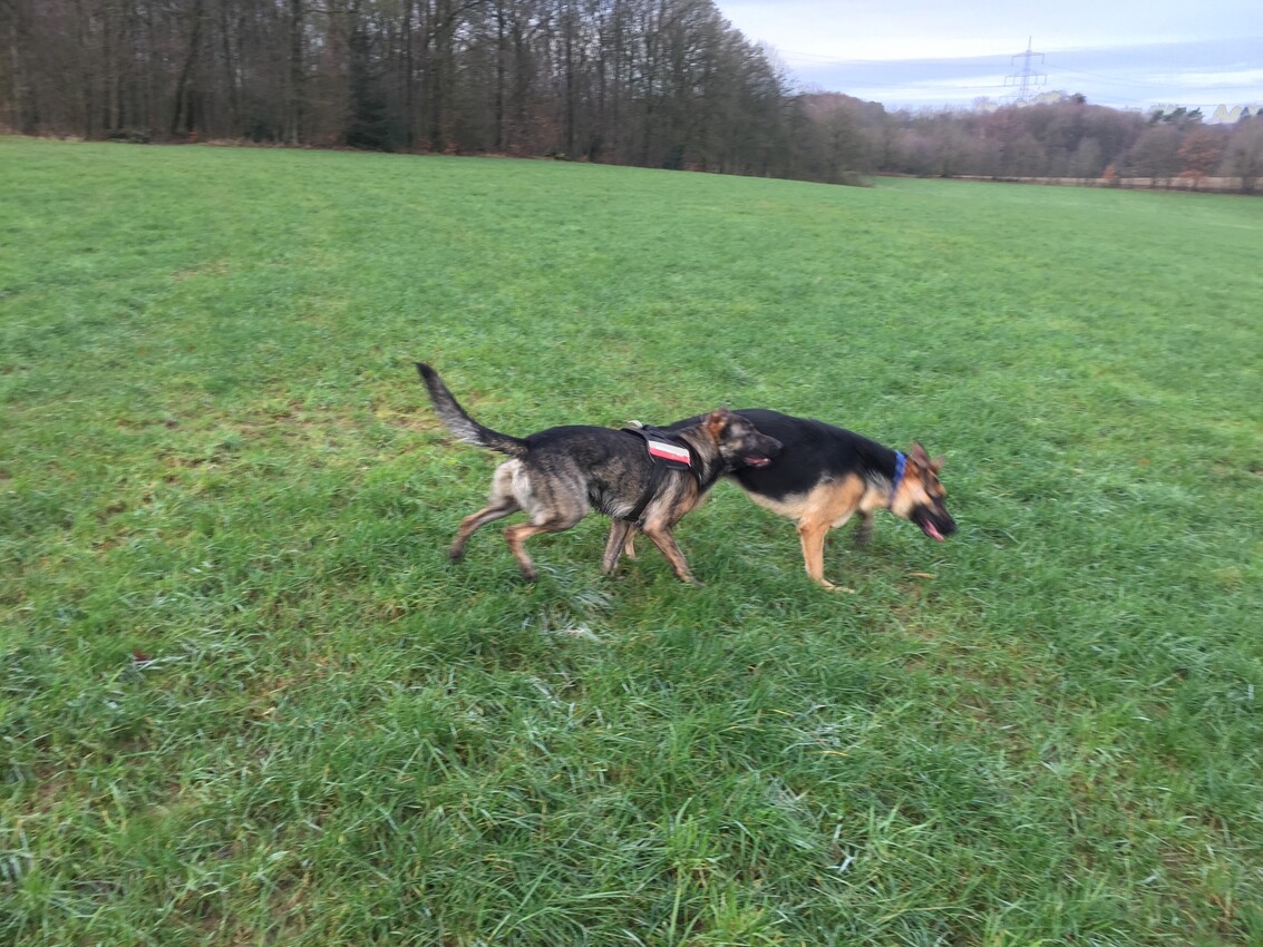 Kuba mit der 2 Monate jüngeren Nora