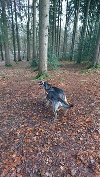 Kuba mit der 2 Monate jüngeren Nora