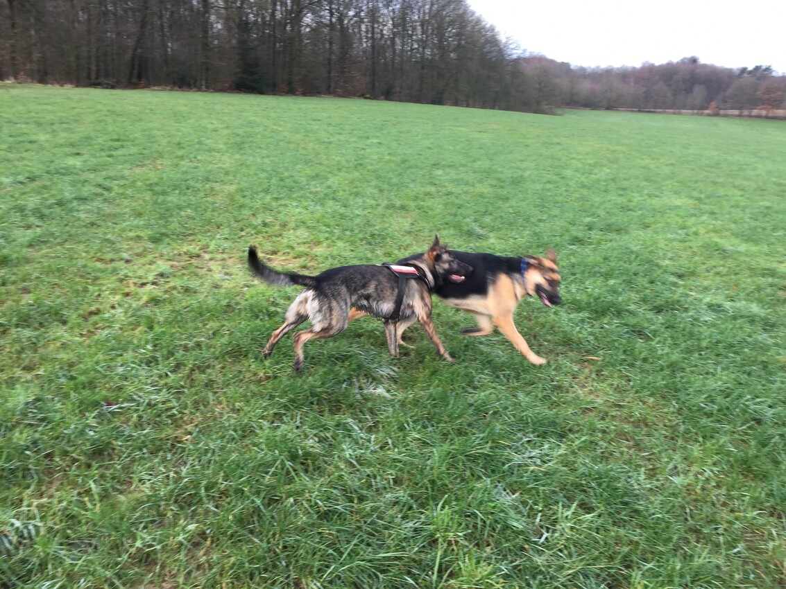 Kuba mit der 2 Monate jüngeren Nora