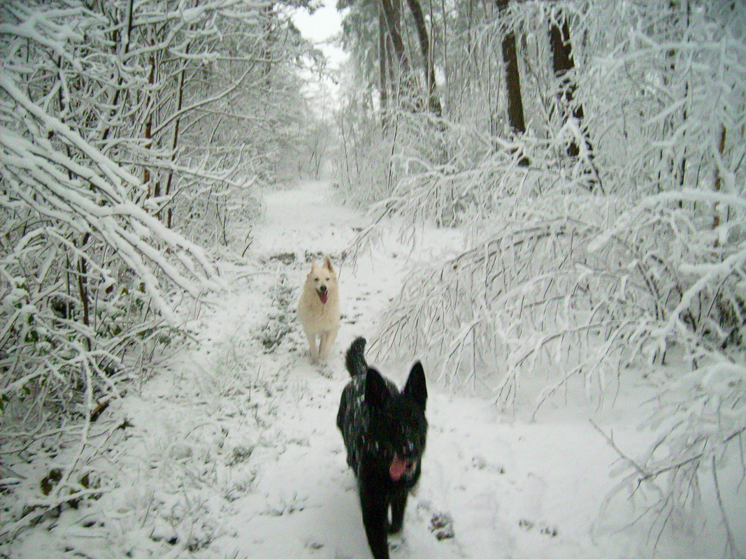 Winterspaziergang